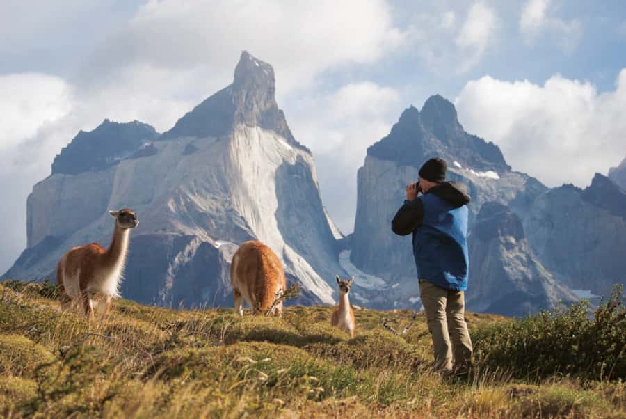 Puerto Natales: Full Day Torres del Paine + Milodon Cave - Nordenskjöld Lake and the Paine views