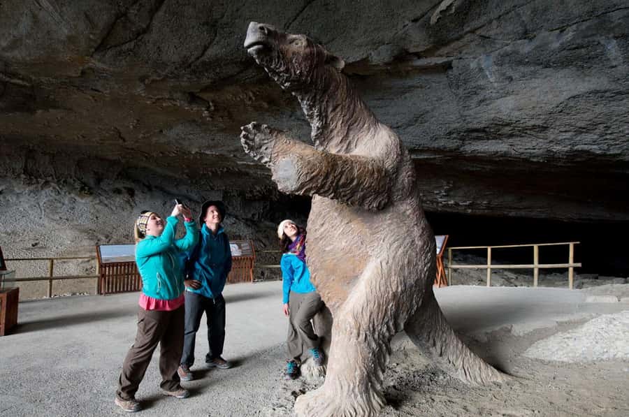 Puerto Natales: Full Day Torres del Paine + Milodon Cave - From Puerto Natales to Lago Sarmiento