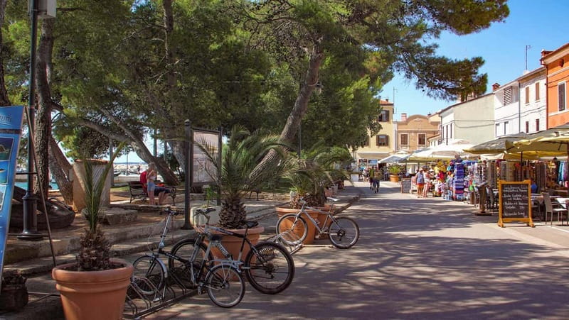 Pula: All-Inclusive Brijuni Boat Tour w Lunch, Drinks & Swim - Comfort, timing, and who will enjoy it