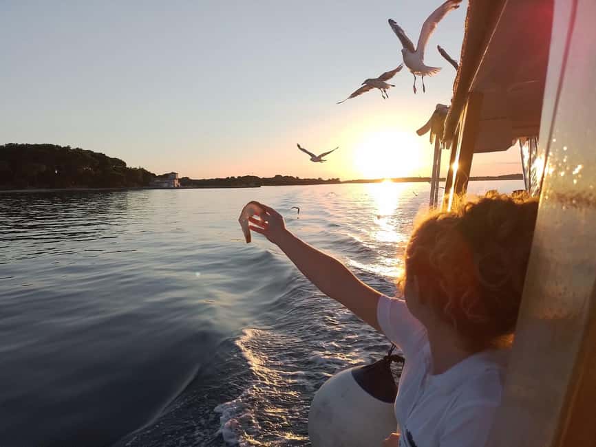 Pula: Brijuni Dolphins Sunset Cruise with Dinner and Drinks - Practical details for a smoother evening