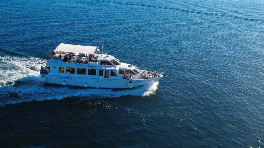 Pula: Brijuni Dolphins Sunset Cruise with Dinner and Drinks - Waiting for dolphins in the wild
