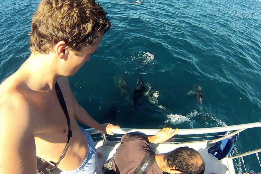 Pula: Brijuni Islands Dolphin Watching & Wildlife Cruise - Practical advice for a smoother outing