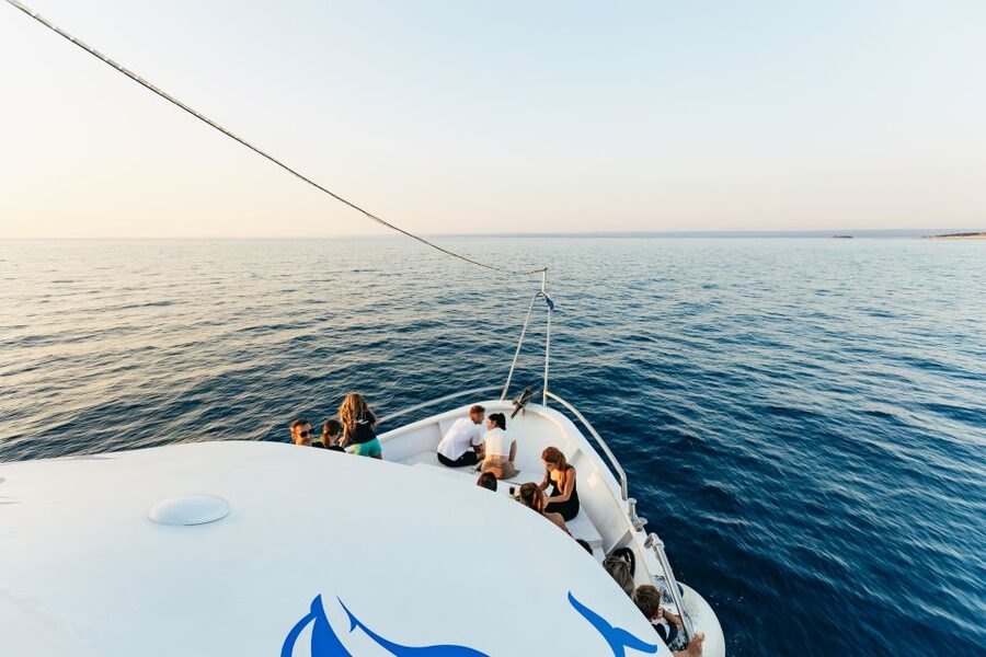 Pula: Dolphin&Sunset Cruise in Brijuni with Dinner&Drinks - Dinner, wine, and the practical value of $64