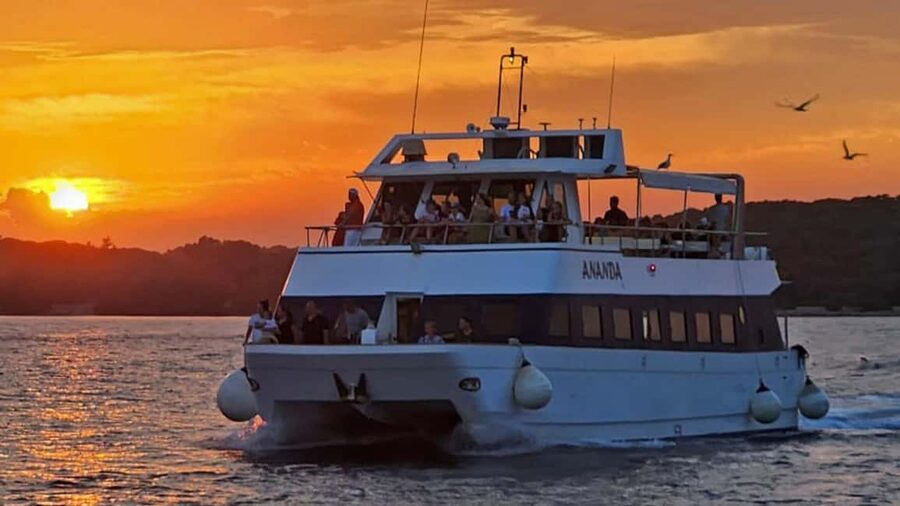 Pula: Dolphin Sunset Cruise to Brijuni with Dinner & Drinks - Why this cruise works so well in Pula