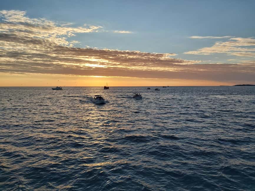 Pula: Dolphin Sunset Cruise to Brijuni with Dinner & Drinks - Searching for dolphins near Brijuni National Park