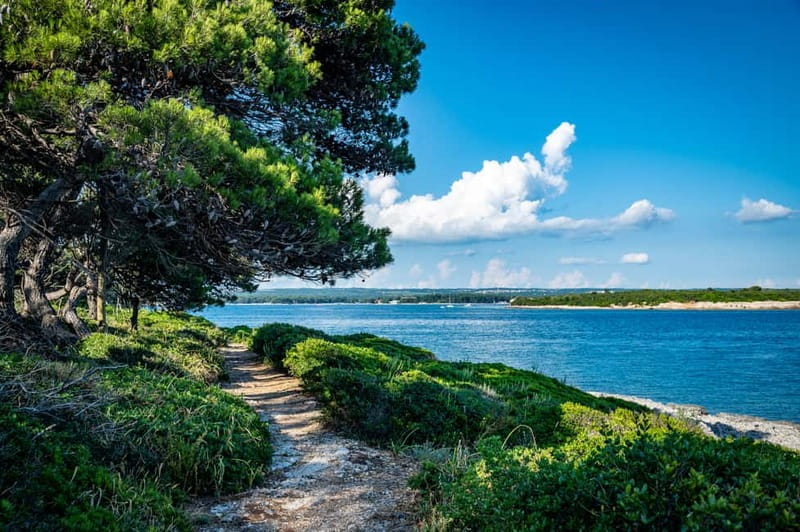 Pula: National Park Brijuni, 2 swimming stops, lunch, drinks - Setting out from Pula’s historic harbor