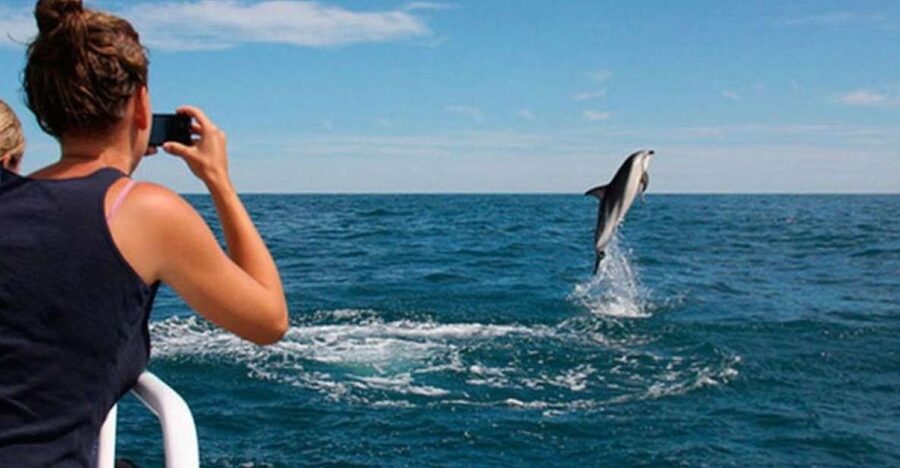 Pula: National Park Brijuni Island Visit & Dolphin Cruise - Boarding in Pula and settling into the boat