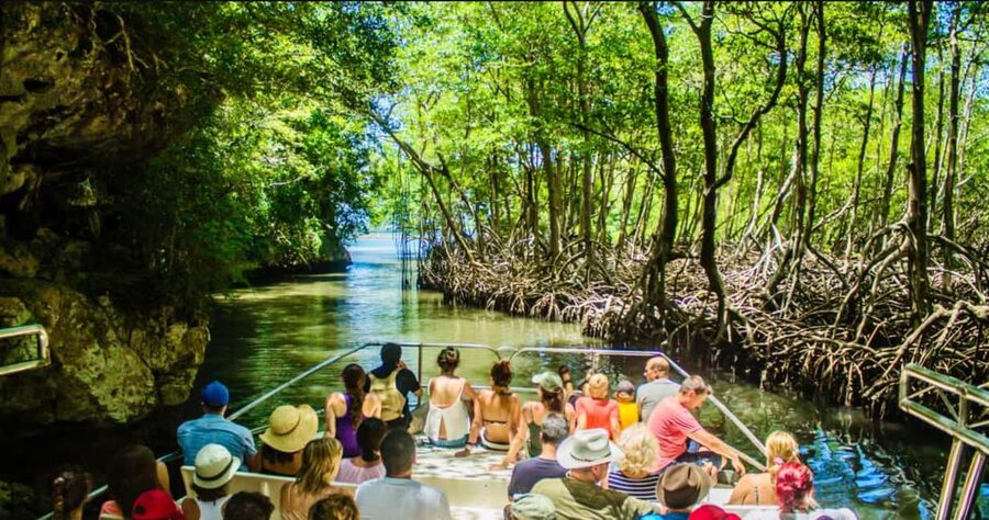 Punta Cana: Los Haitises National Park Full-Day Tour - Cruising the mangroves of Los Haitises