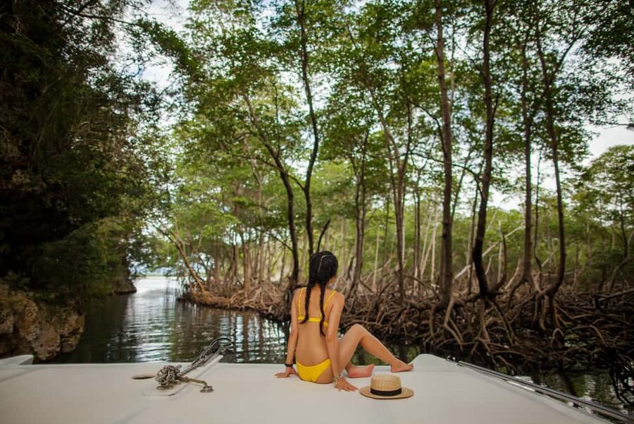 Punta Cana: Los Haitises National Park Full-Day Tour - Jeep ride to Montaña Redonda