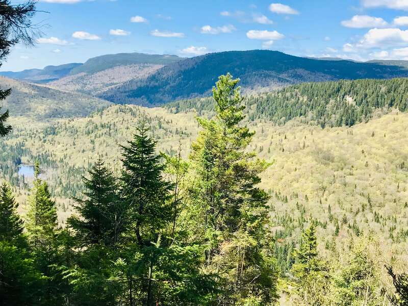 Quebec City: Guided Hike in Jacques-Cartier National Park - A long afternoon with room to choose