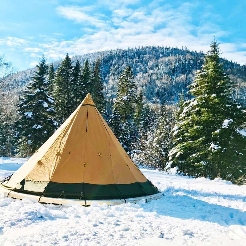 Quebec City: Jacques-Cartier National Park Snowshoeing Tour - Who should book this snowshoe trip?