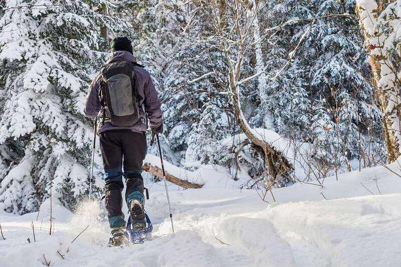 Quebec City: Jacques-Cartier National Park Snowshoeing Tour - Leaving Quebec City for Laurentian winter