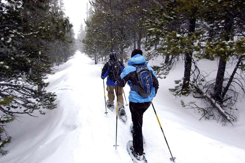 Quebec City: Jacques-Cartier National Park Snowshoeing Tour - Belleau Creek, forest tracks, and mountain views