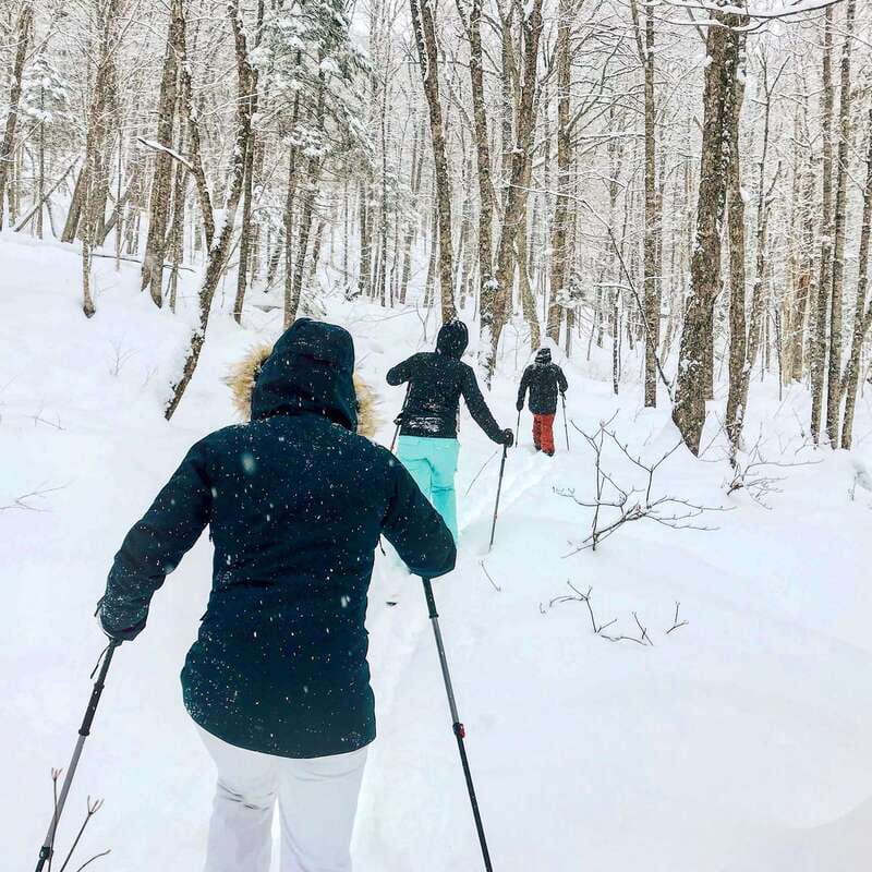 Quebec City: Jacques-Cartier National Park Snowshoeing Tour - A 5-kilometer walk with room to catch your breath