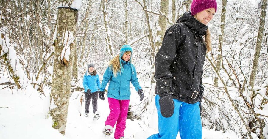 Quebec City: Jacques-Cartier National Park Snowshoeing Tour - Free time in the park after the guided walk