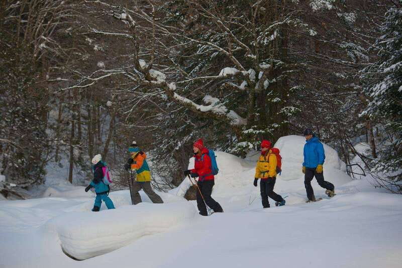 Quebec City: Jacques-Cartier National Park Snowshoeing Tour - How the guiding shapes the day