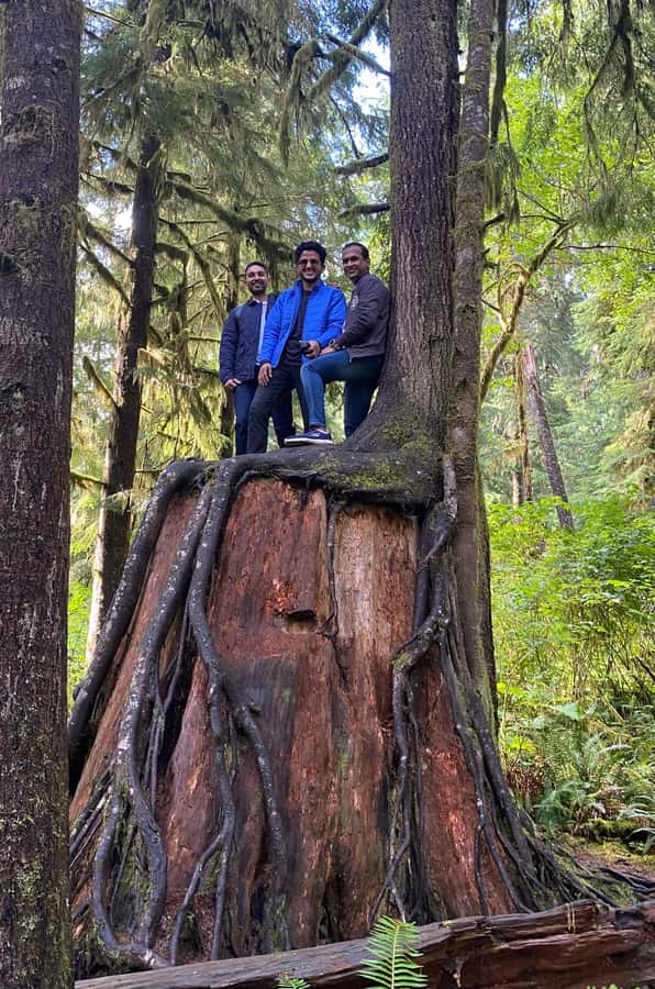 Rainforest and Olympic National Park Highlights - Key points at a glance