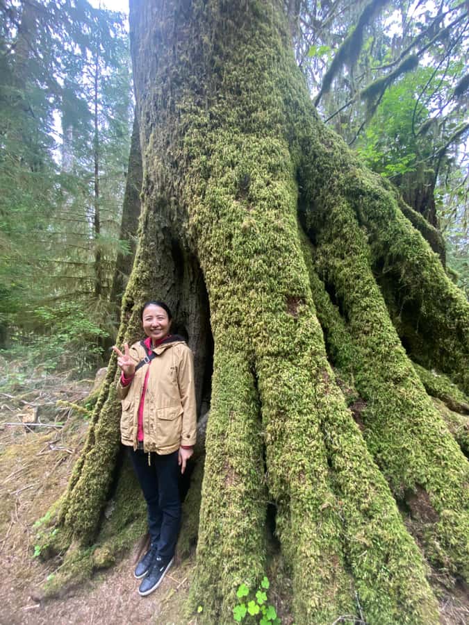 Rainforest and Olympic National Park Highlights - Price, group size, and overall value