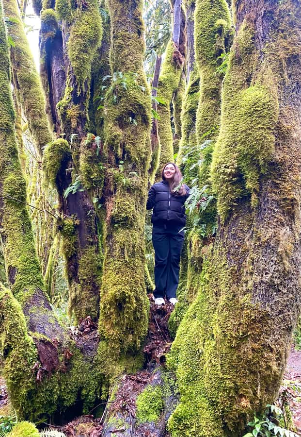 Rainforest and Olympic National Park Highlights - How much time do you spend in the car?