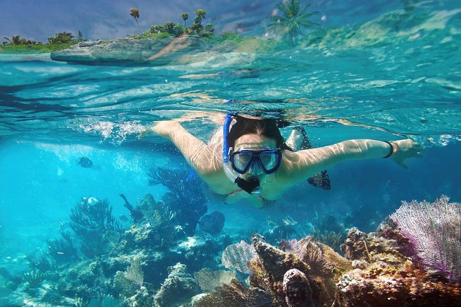 Reef Snorkel In National Park In Puerto Morelos With Lunch And Transportation - Lunch, Tacos, and the Beach Club Stop