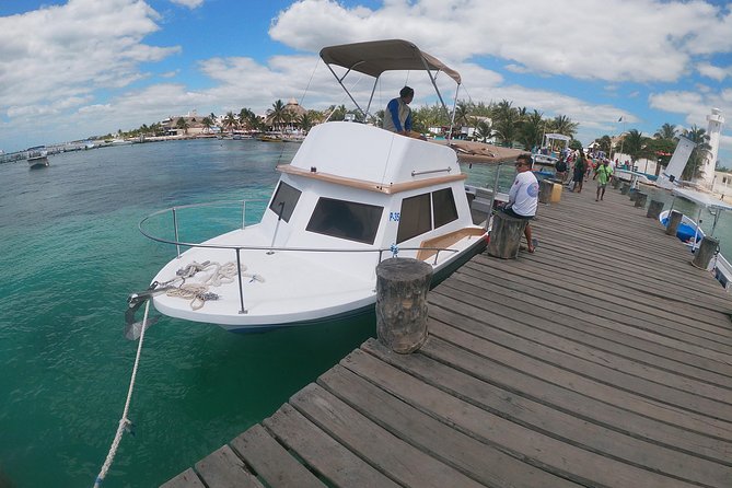 Reef Snorkel In National Park In Puerto Morelos With Lunch And Transportation - Transportation Is the Weak Link