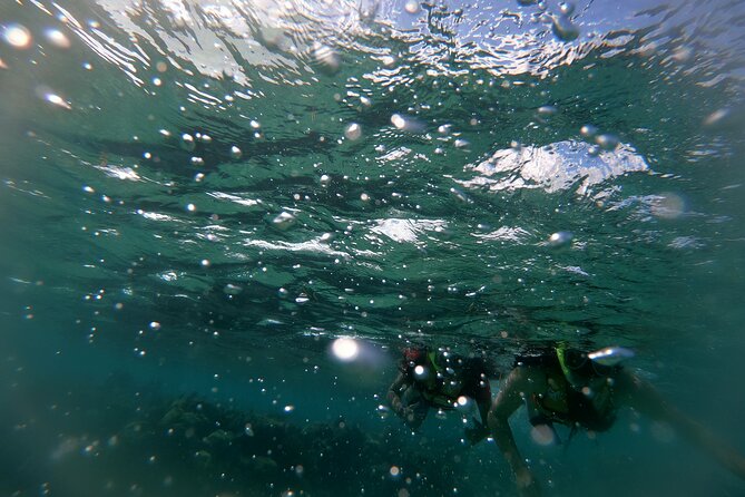 Reef Snorkel In National Park In Puerto Morelos With Lunch And Transportation - Who Should Book This Snorkel Trip?