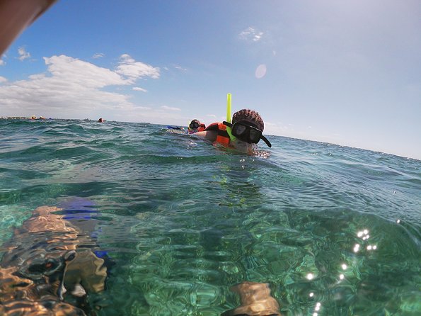 Reef Snorkel In National Park In Puerto Morelos With Lunch And Transportation - The Reef Rules Are Strict for a Reason