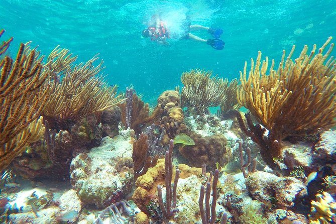 Reef Snorkeling in National Park from Cancun with Beachside Lunch - Sun Protection and Reef Rules