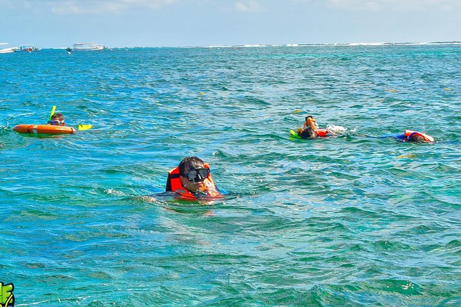 Reef Snorkeling in National Park from Cancun with Beachside Lunch - Should You Book This Puerto Morelos Excursion?