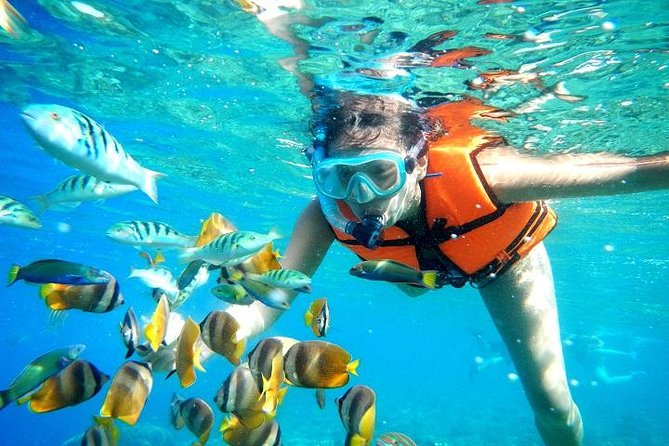 Reef Snorkeling in National Park from Cancun with Beachside Lunch - Entering the National Reef Park