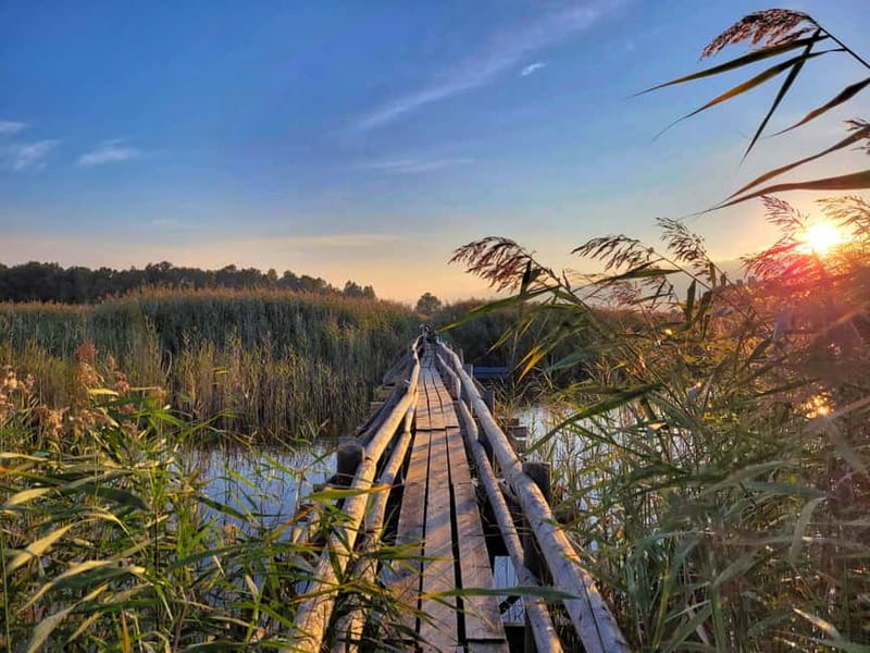 Riga: Best of Kemeri National Park In One Day - Key points to know before booking