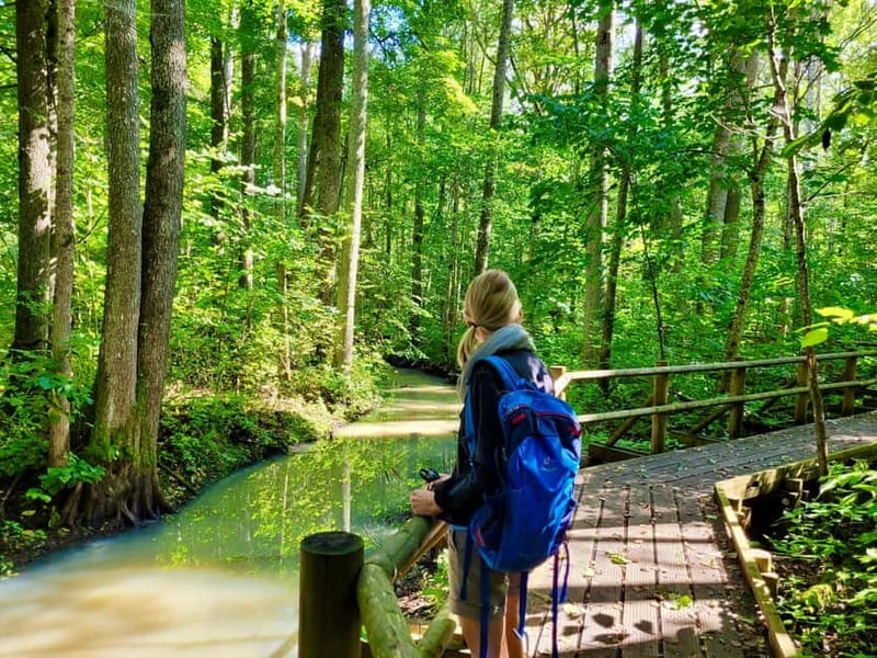 Riga: Best of Kemeri National Park In One Day - Leaving Riga for Ķemeri’s wild side