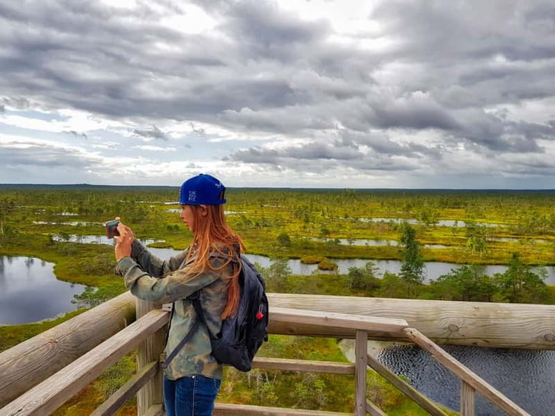 Riga: Best of Kemeri National Park In One Day - Ragaciems and the Gulf of Riga beach