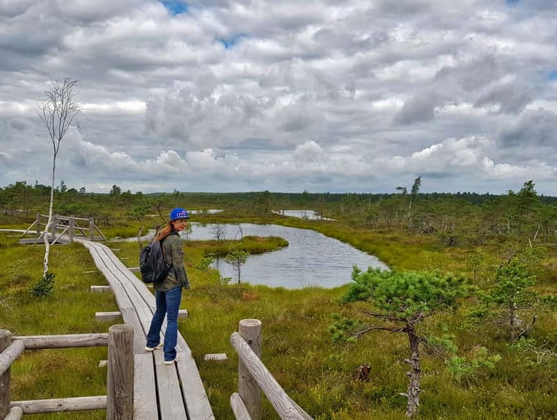 Riga: Best of Kemeri National Park In One Day - Is $253 a fair price?