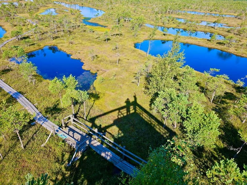 Riga: Best of Kemeri National Park In One Day - Who will enjoy this day most?