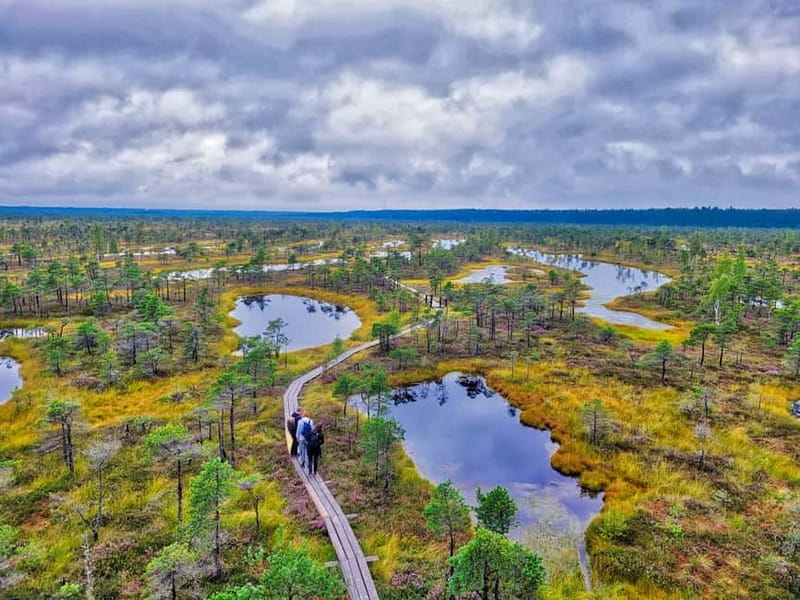 Riga: Best of Kemeri National Park In One Day - Walking the Great Ķemeri Bog Boardwalk
