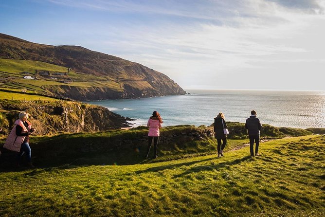 Ring of Kerry Day Tour from Cork: Including Killarney National Park - Cork to Killarney, an early start across the mountains