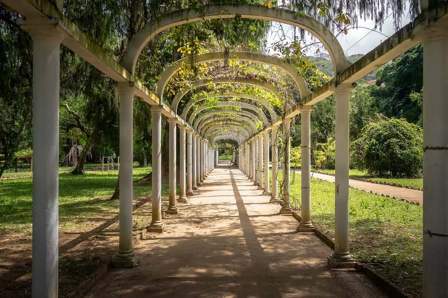 Rio de Janeiro: Tijuca National Park & Botanic Garden Tour - Why Tijuca Forest belongs on a Rio itinerary