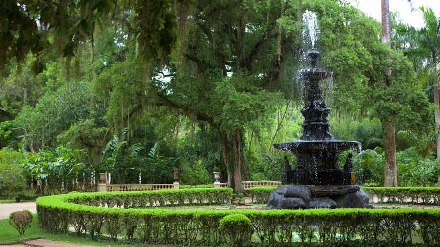 Rio de Janeiro: Tijuca National Park & Botanic Garden Tour - Four hours by vehicle, with useful transfers