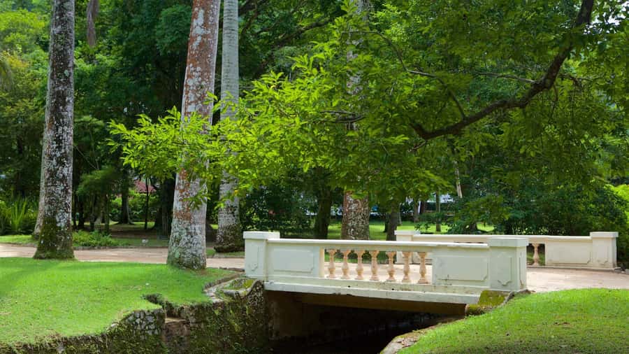 Rio de Janeiro: Tijuca National Park & Botanic Garden Tour - What happens if Tijuca Forest closes