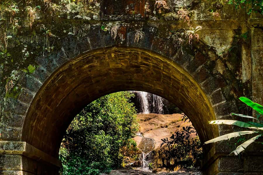 Rio de Janeiro: Tijuca National Park & Botanic Garden Tour - Guides, languages, and the feel of the visit