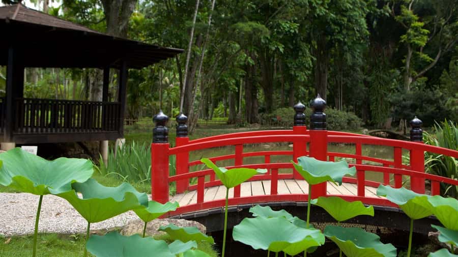Rio de Janeiro: Tijuca National Park & Botanic Garden Tour - What to bring and how to prepare