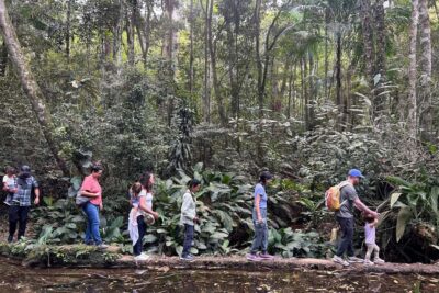 Rio de Janeiro: Tijuca National Park Tour