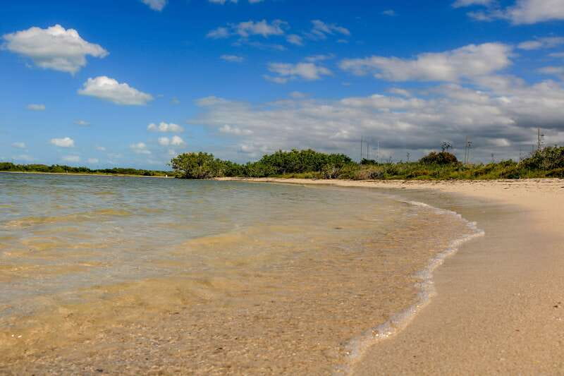 Rio Lagartos: Boat Tour through the Nature Reserve - Looking for Morelet’s crocodiles