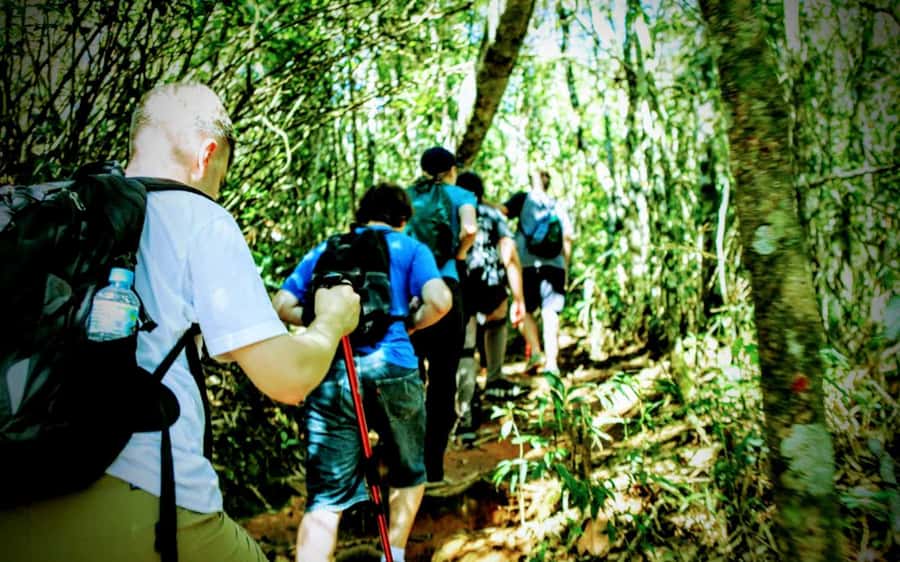 Rio: Tijuca National Park Small-Group Hike to Pedra Bonita - The walk to Pedra Bonita