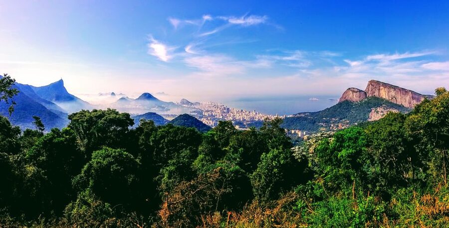 Rio: Tijuca National Park Small-Group Hike to Pedra Bonita - Who should book this hike?