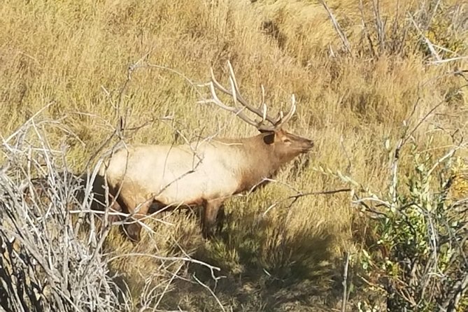 Rocky Mountain National Park and Estes Park Tour from Denver Winter and Spring - A short stop at Fall River Visitor Center