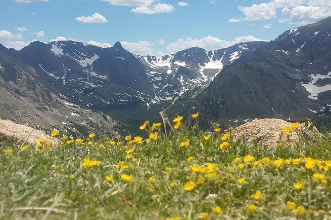 Rocky Mountain National Park in Summer Tour from Denver - Key points at a glance