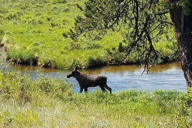 Rocky Mountain National Park in Summer Tour from Denver - Trail Ridge Road, the centerpiece of the day