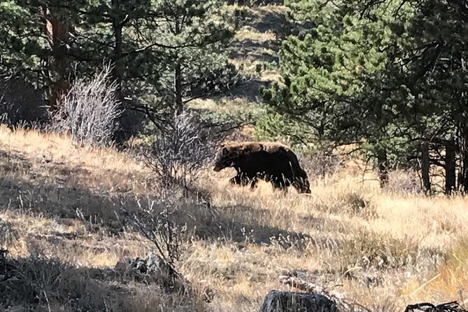 Rocky Mountain National Park in Summer Tour from Denver - Rock Cut and the first serious altitude check